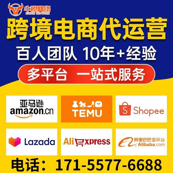 巴中电商代运营