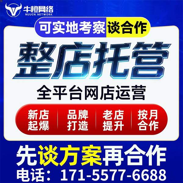 巴中电商代运营