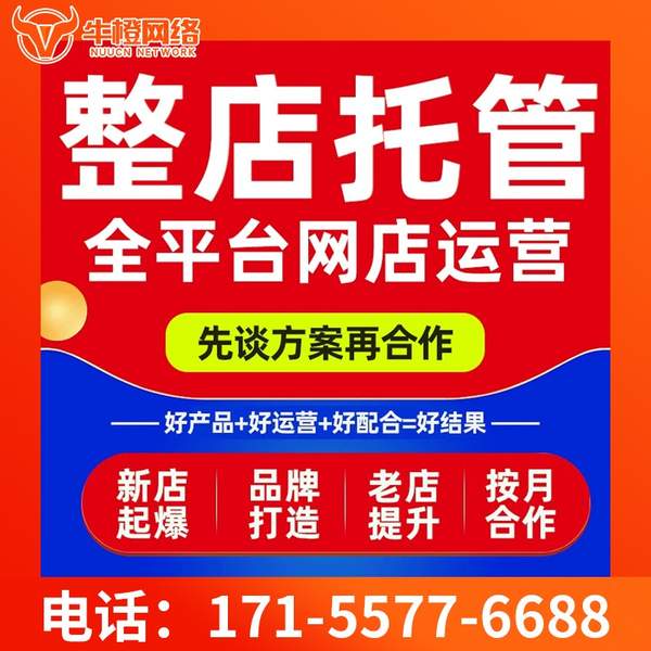 巴中电商代运营