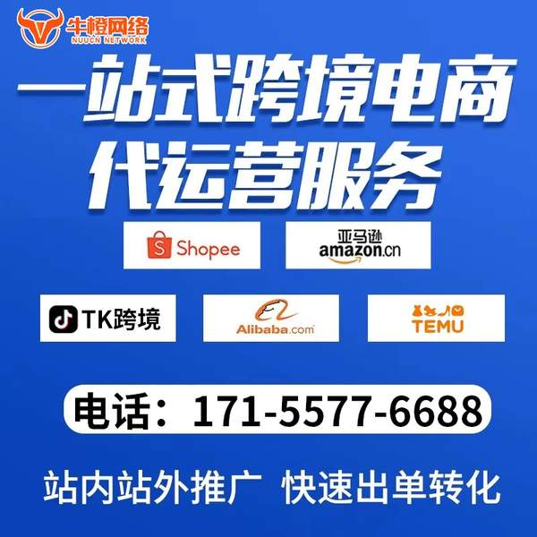 巴中电商代运营