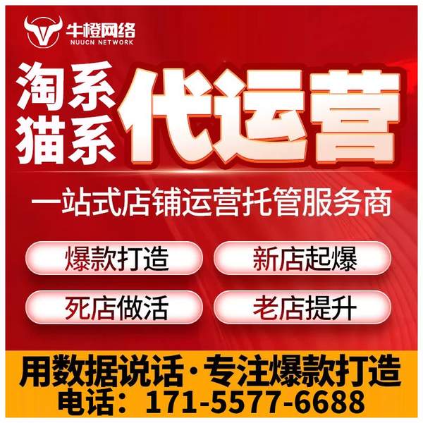 巴中电商代运营